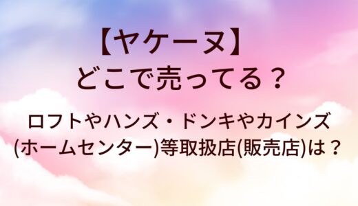 ヤケーヌはどこで売ってる？ロフトやハンズ・ドンキやカインズ(ホームセンター)等取扱店(販売店)は？