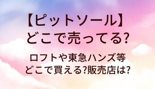 ピットソールはどこで売ってる?ロフトや東急ハンズ等どこで買える?販売店は?