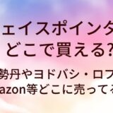 フェイスポインターはどこで買える？伊勢丹やヨドバシ・ロフトやAmazon等どこに売ってる？