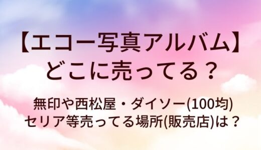 エコー写真アルバムはどこに売ってる？無印や西松屋・ダイソー(100均)やセリア等売ってる場所(販売店)は？